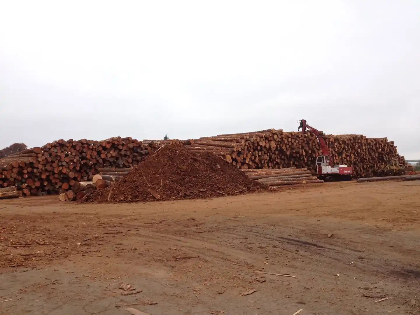 Canyon Lumber Company Archives LochwoodLozier Custom Homes